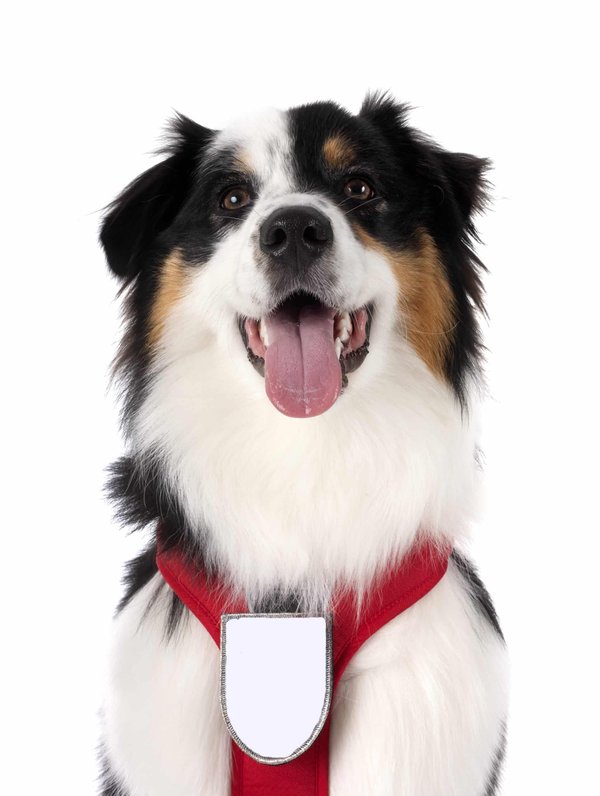 Comment personnaliser son garde-corps extérieur ?