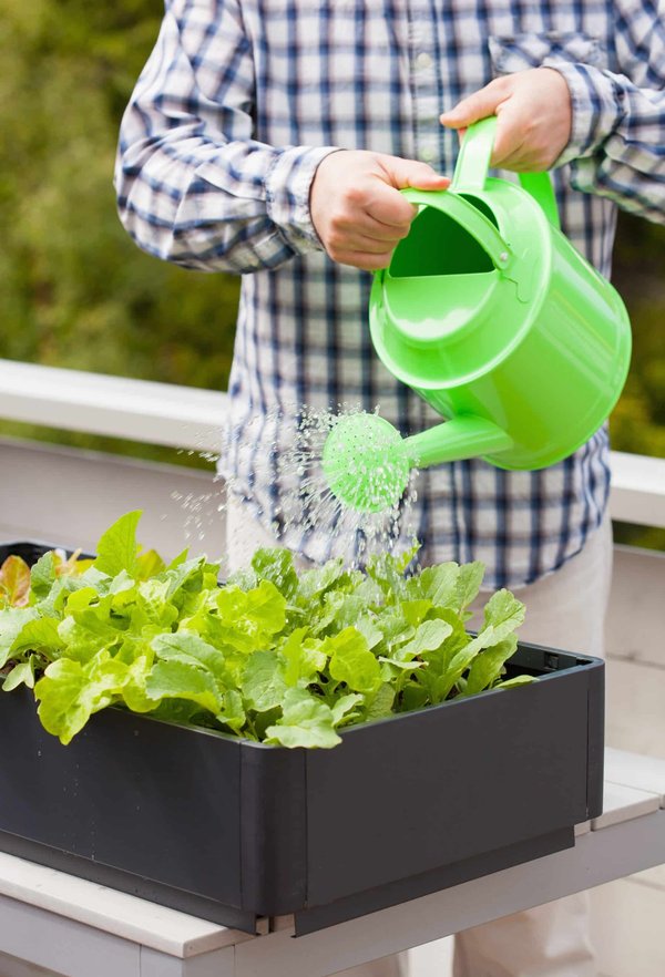 Bac potager : conseils d'utilisation de l'accessoire