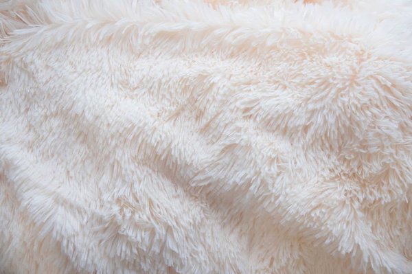 Pourquoi choisir une couverture polaire ?