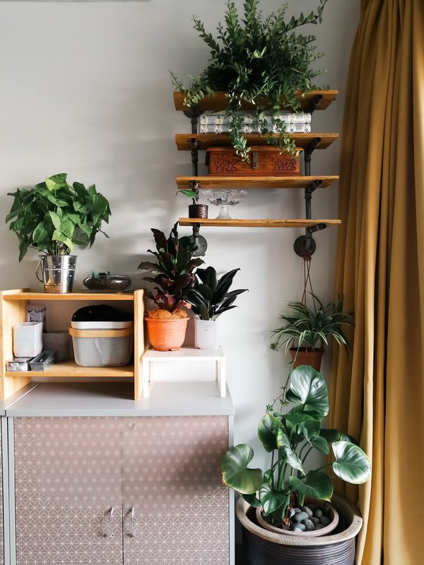 Astuces décoration intérieur : les tendances sur le marché